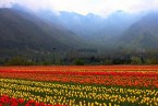 Patnitop-Srinagar